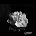 Medrano Studios