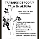 Podas Puente Podas Puente