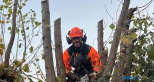 Entrevista a Arce Jardinería y Paisajismo