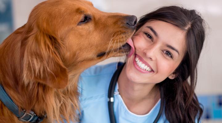Cómo montar una clínica veterinaria