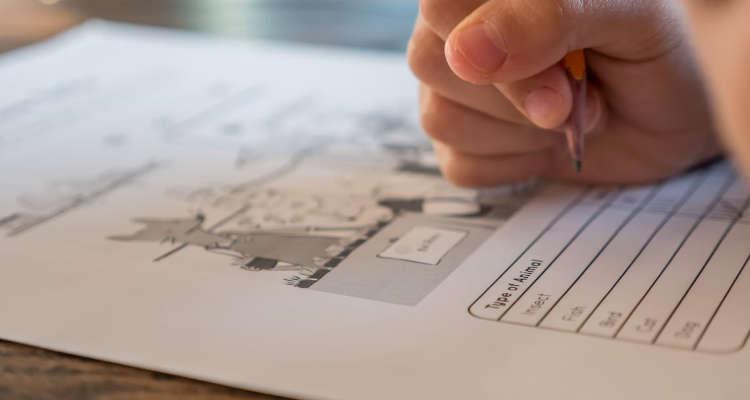 Cómo Dar Clases Particulares y Conseguir Más Alumnos