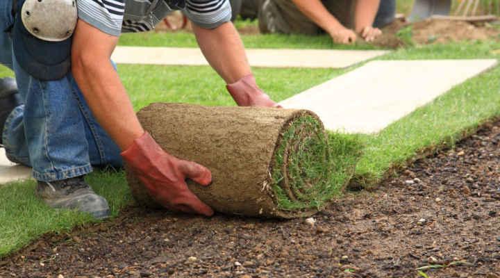 Cómo Montar una Empresa de Jardinería en España