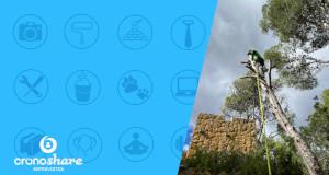 Entrevista a Jardinería Frank