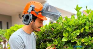 Entrevista a ValleVerde Jardinería