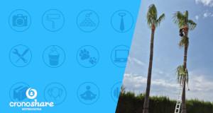 Entrevista a Servicios de Jardinería JDCL