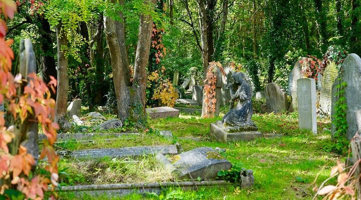 Marketing para Funerarias: Guía por Pasos